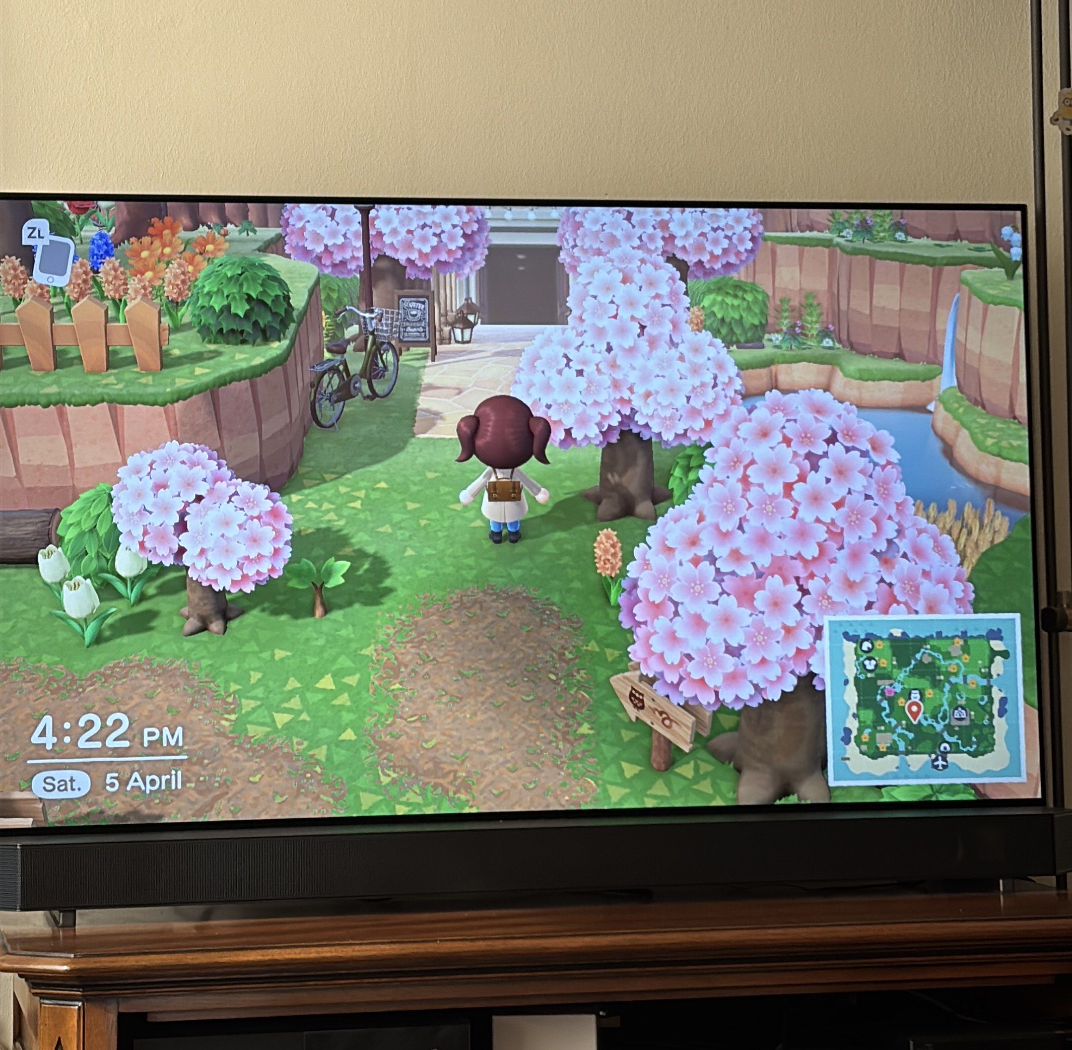 Photo of TV with Animal Crossing New Horizons playing